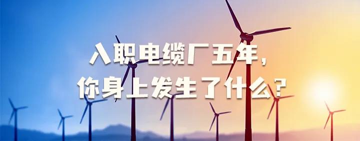 入職電纜廠五年，你身上發(fā)生了哪些變化~